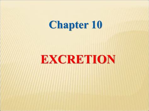 Image result for Chapter 12 Excretion
