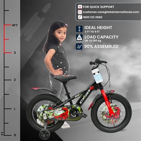 Buy 16 Inch Rexy Kids Cycle Online - Stryder Bikes