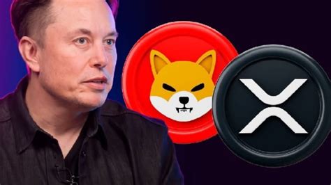 Elon Musk Tweet XRP and SHIB Tech mogul Elon Musk, the brain | Satdo ...