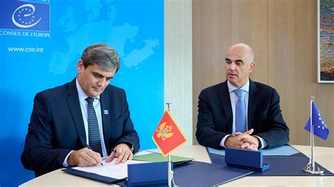 The Framework Convention on Artificial Intelligence - Artificial Intelligence