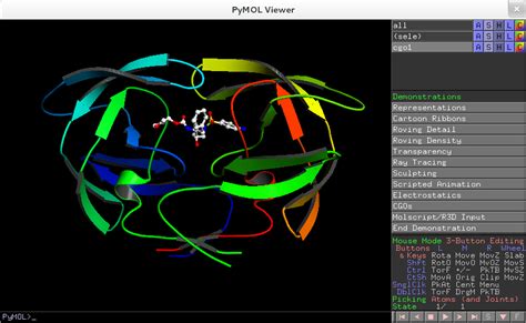 Image result for PyMOL Demo