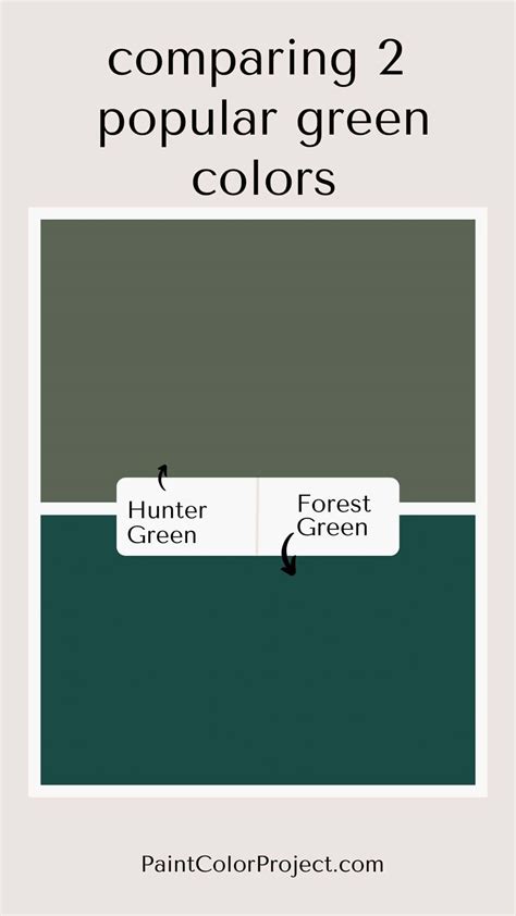 Blog - The Paint Color Project