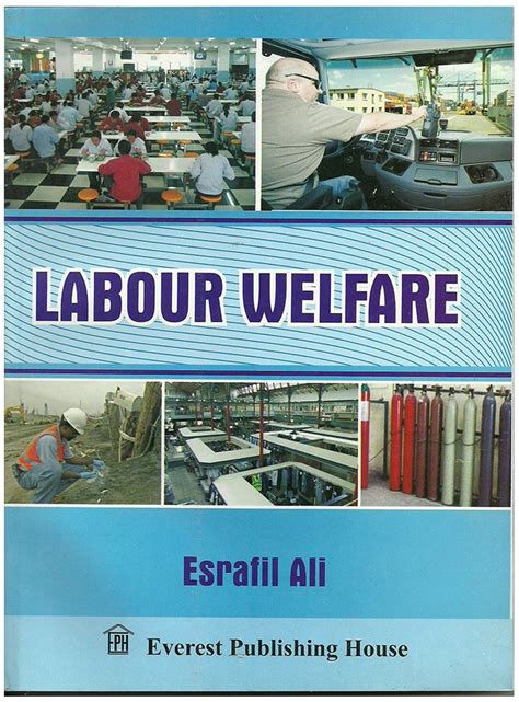 Buy Labour Welfare Book Online at Low Prices in India | Labour Welfare ...
