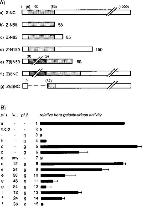 Image result for Alpha Complementation LacZ Assay