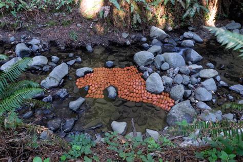 Djerassi Resident Artists Program | Archaea - Djerassi Resident Artists ...