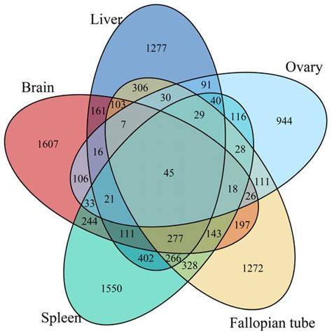 Transcriptome Analysis Reveals Cross-Tissue Metabolic Pathway Changes ...