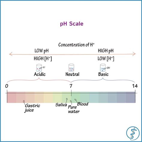 PH Scale Explained 的图像结果