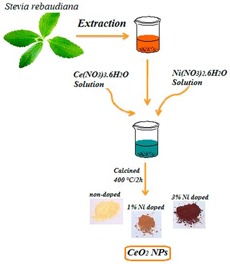 Nickel-Doped Cerium Oxide Nanoparticles: Green Synthesis Using Stevia ...