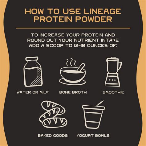 Animal-Based Complete Protein Powder (Original) – Lineage Provisions