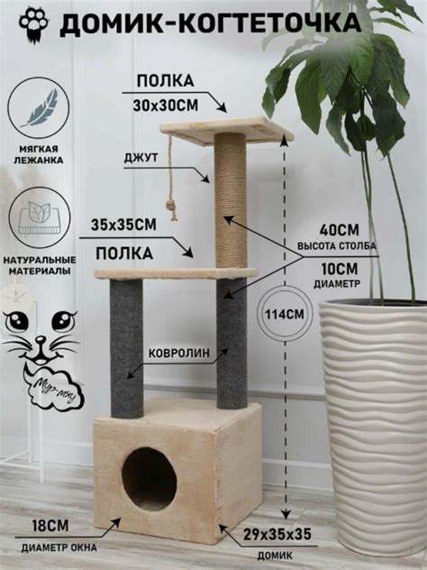 9 Лучших когтеточек для кошек – рейтинг 2025 | Планета животных