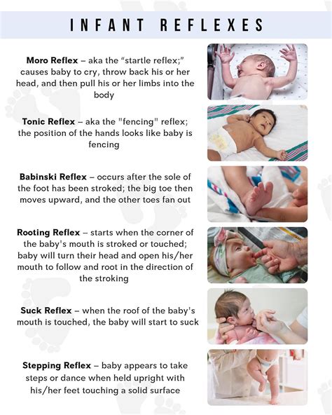 Infant Reflexes Chart