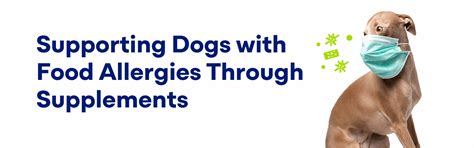 Dog Food Allergies: Signs, Diet & Supplement Support – K9 Vitality