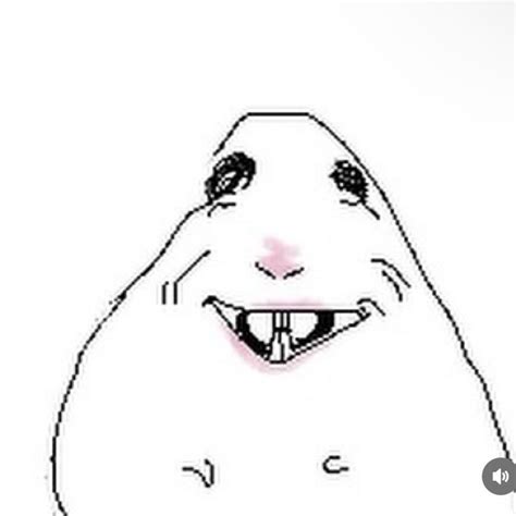 Pin by wan airin on Funny doodles | Funny hamsters, Funny doodles ...