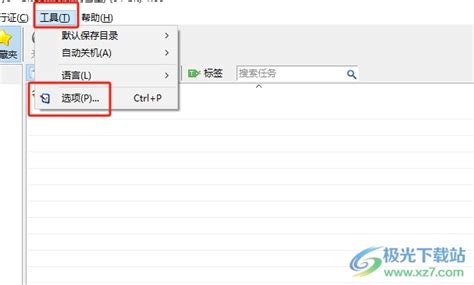 BitComet Tutorial 的图像结果