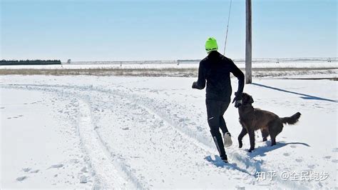 评判一个跑者强大的标准：冬天有没有坚持在户外跑步 - 知乎
