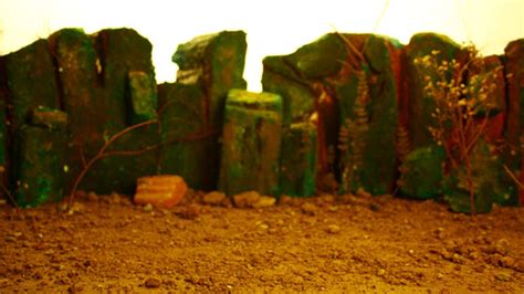 D'source Processing the Image | Clay Animation Module - 3 | D'Source ...