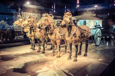 8376 Best Museums in China