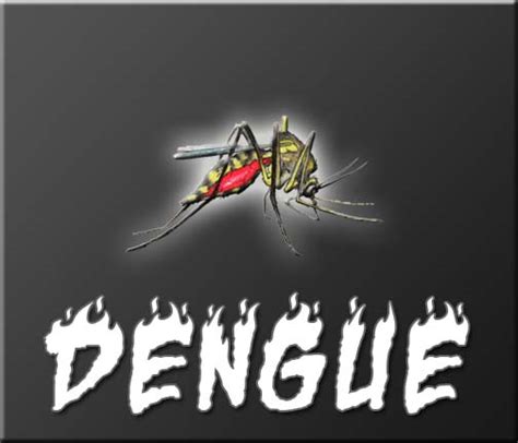 Boy, 6, dies of dengue in Goa | TopNews