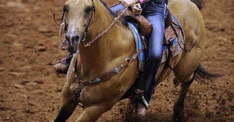 Professional Rodeo Cowboys Association standings