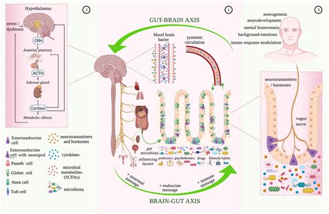 Functional Gastrointestinal Disorders with Psychiatric Symptoms ...