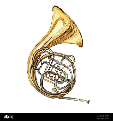 French horn brass musical instrument watercolor illustration on white ...