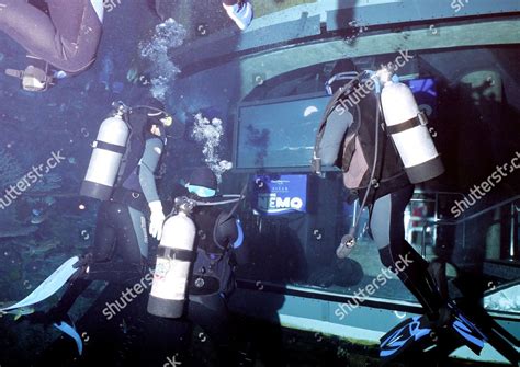 Image result for Finding Nemo Audio Visual Commentary