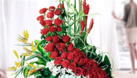 HOWARD JOHNSON TORREON COAHUILA - Hotel Reviews & Photos - Tripadvisor