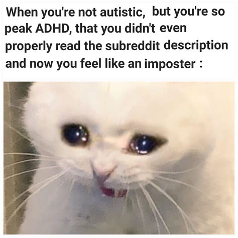 Memes For Autism Memes Archives The Autism Dad