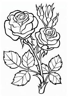 blumen malvorlagen kostenlos zum ausdrucken jung ausmalbilder blumen malvorlagen blumen malvorlagen blumen malvorlagen kostenlos zum ausdrucken jung ausmalbilder blumen malvorlagen blumen malvorlagen