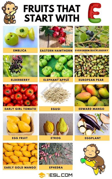Fruits that Start with E Berry Fruit, Apple Fruit, Red Fruit, Citrus ...