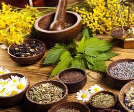 Welcome to Dagdu Teli