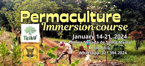 Permaculture Immersion Course, Trompito, Santa Marta, 14 January to 21 ...