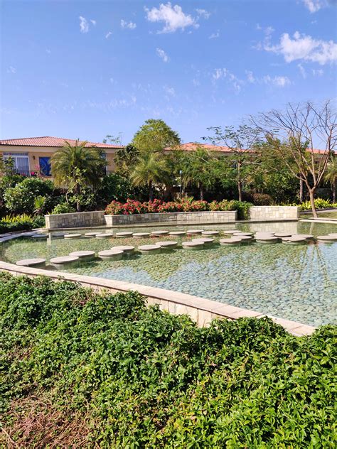 The Westin, Pushkar: A Complete Review I LBB, Delhi