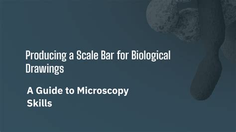 Image result for Scale Bar Science