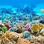 大堡礁 的图像结果