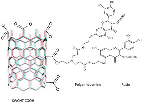 Some Nanocarrier’s Properties and Chemical Interaction Mechanisms with ...