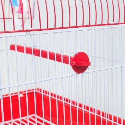 Petzlifeworld Plastic Birds Cage Standing Perches (Colors May Vary) (P ...