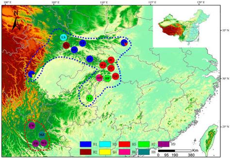 Genetic Differentiation and Population Genetic Structure of the Chinese ...