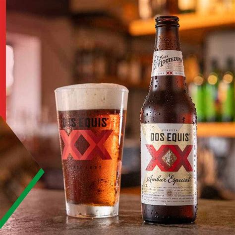 What is Lager Beer? (Taster’s Guide )