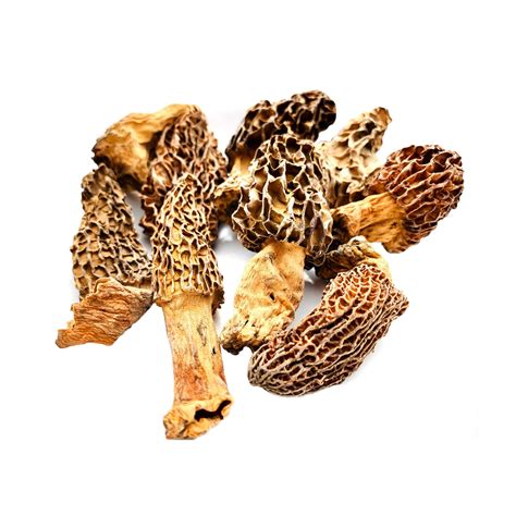 One of the Most Expensive Mushrooms in the World