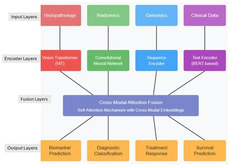 Tomography | An Open Access Journal from MDPI