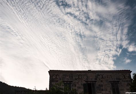 Flying cotton picture, by Zizounai for: skies photography contest ...