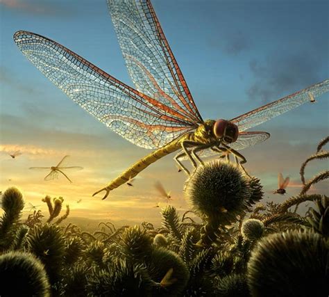 Art illustration - Prehistoric Insects - Meganeura: ( "large nerves") is an extinct genus of ...