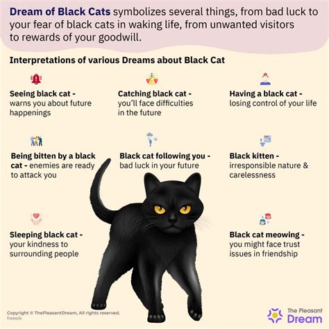 Dream meaning for a cat 60 photos - Astrologytoyou.com