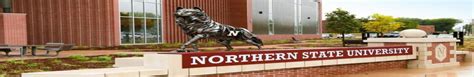 MS in Accounting Analytics from Northern State University - Fees ...