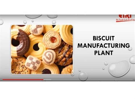 Maize & Corn Processing Projects - Maize Processing Plant Starches ...