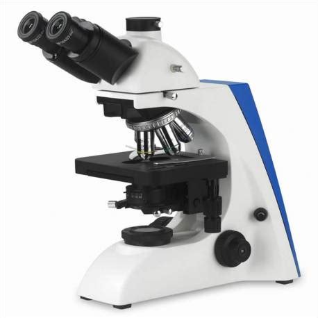 Image result for Microscope Optique