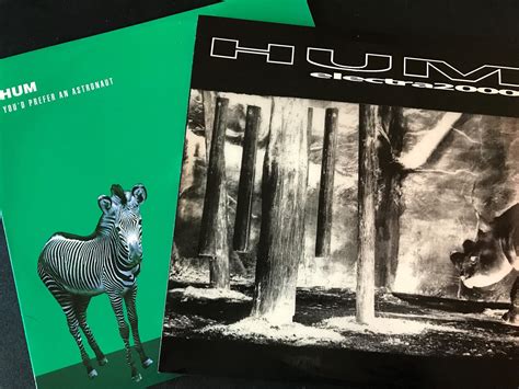 Hum reissuing 'You'd Prefer An Astronaut' and 'Electra 2000'