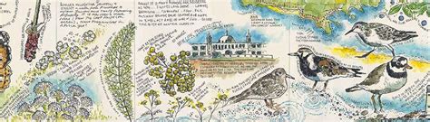 Introduction to Creative Journaling with Steve Pardue, hosted by ...