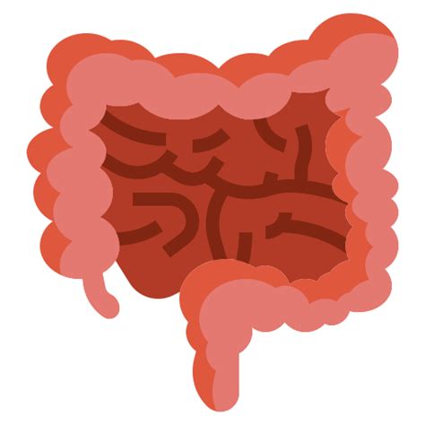 Concord Hospital | Best Hospital in Cape Town, South Africa